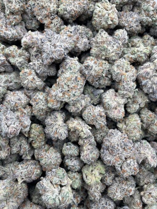 DR. THUNDER Strain