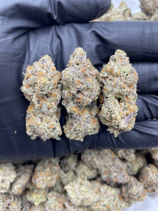 SMACKERZ Strain